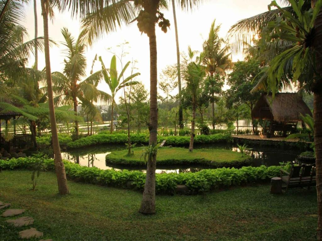 Hotel Omah Apik Ubud Exterior foto